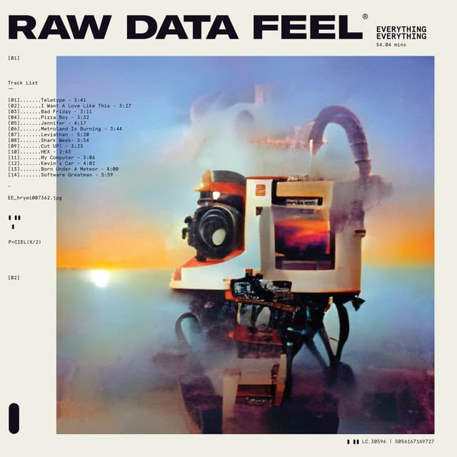 Release Cover Everything Everything - Raw Data Feel