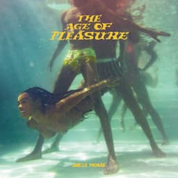 Release Cover Janelle Monáe - The Age of Pleasure