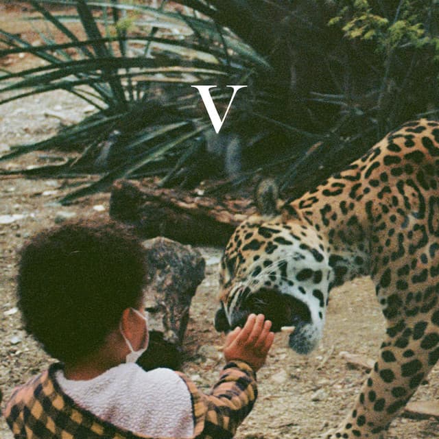 Release Cover Unknown Mortal Orchestra - V