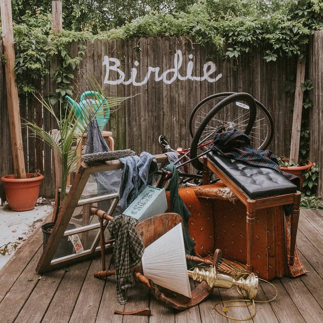 Release Cover Slaughter Beach, Dog - Birdie