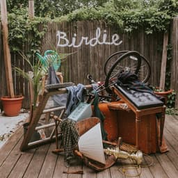 Release Cover Slaughter Beach, Dog - Birdie