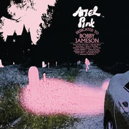 Release Cover Ariel Pink - Dedicated to Bobby Jameson