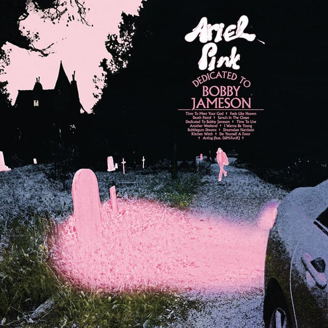 Release Cover Ariel Pink - Dedicated to Bobby Jameson