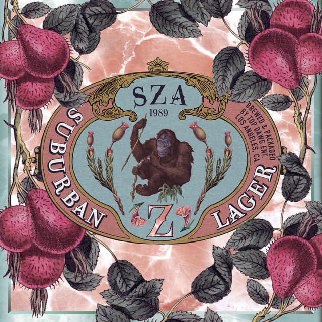 Release Cover SZA - Z