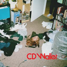 Release Cover HOMESHAKE - CD Wallet