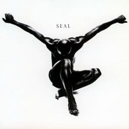 Release Cover Seal - Seal
