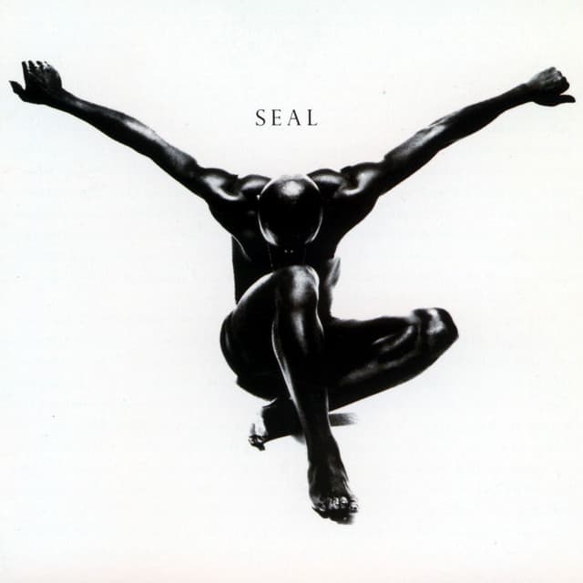 Release Cover Seal - Seal