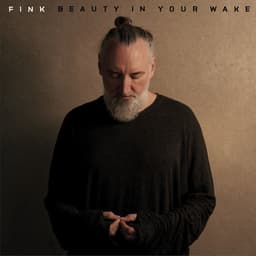 Release Cover Fink - Beauty In Your Wake
