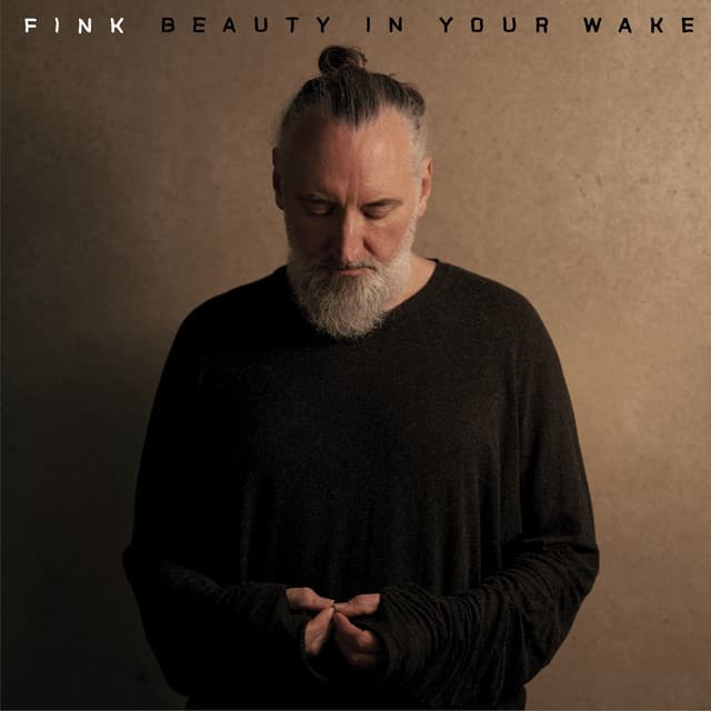 Release Cover Fink - Beauty In Your Wake