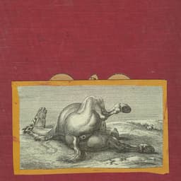 Release Cover Shearling - Motherfucker, I am Both: "Amen" and "Hallelujah"...