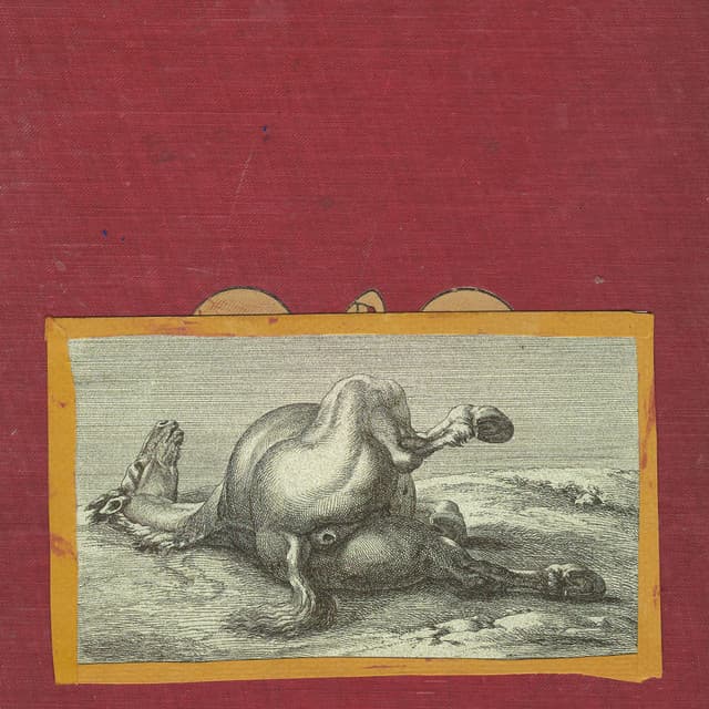 Release Cover Shearling - Motherfucker, I am Both: "Amen" and "Hallelujah"...