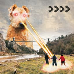 Release Cover Beak> - >>>>