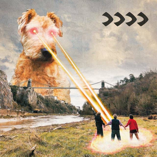 Release Cover Beak> - >>>>