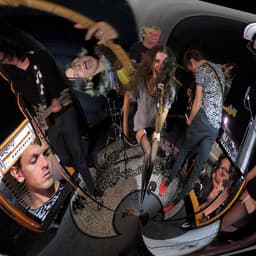 Release Cover bar italia - rooster