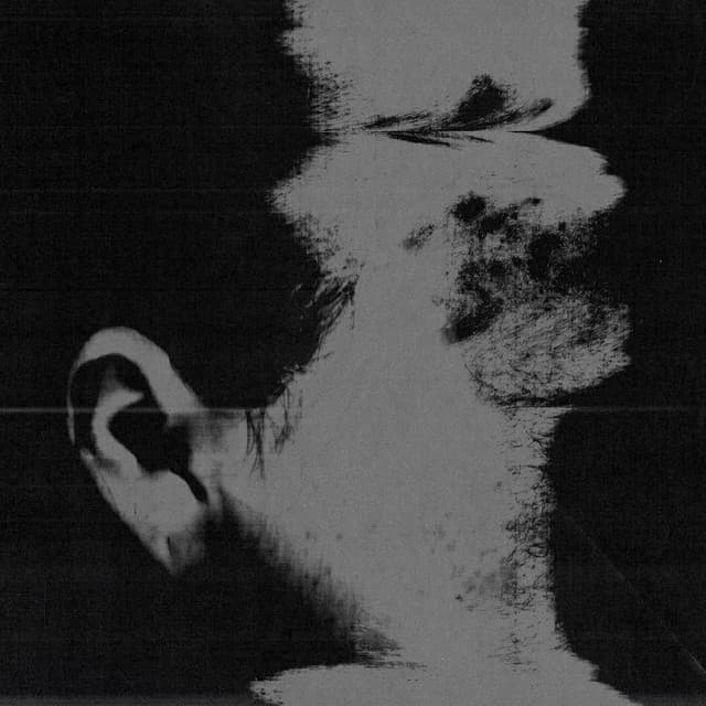 Release Cover DITZ - Four