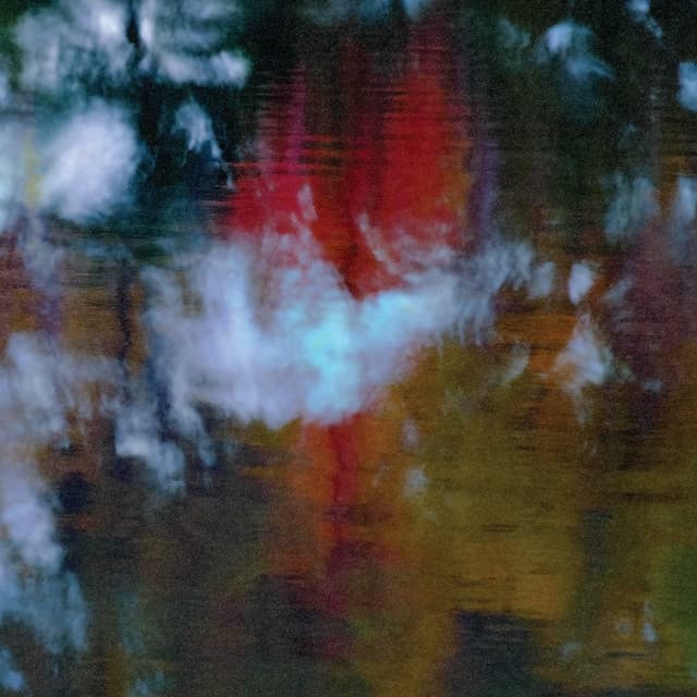 Release Cover Photay, Carlos Niño - An Offering