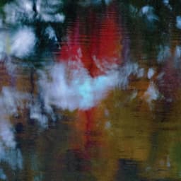 Release Cover Photay, Carlos Niño - An Offering