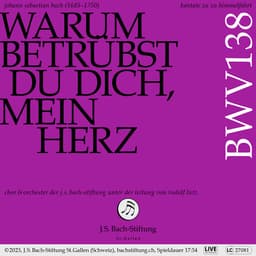 Release Cover Johann Sebastian Bach, Chor der J. S. Bach-Stiftung, Orchester der J. S. Bach-Stiftung, Rudolf Lutz - J.S. Bach: Warum betrübst du dich, mein Herz, BWV 138 (Live)