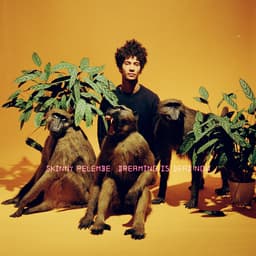 Release Cover Skinny Pelembe - Dreaming Is Dead Now