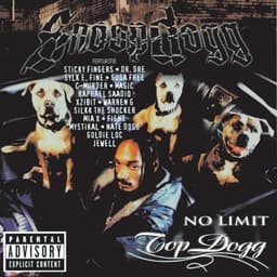 Release Cover Snoop Dogg - No Limit Top Dogg