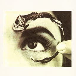 Release Cover Mr. Bungle - Disco Volante