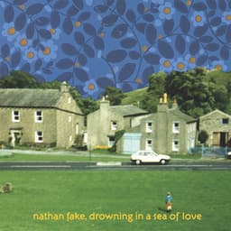 Release Cover Nathan Fake - Drowning in a Sea of Love