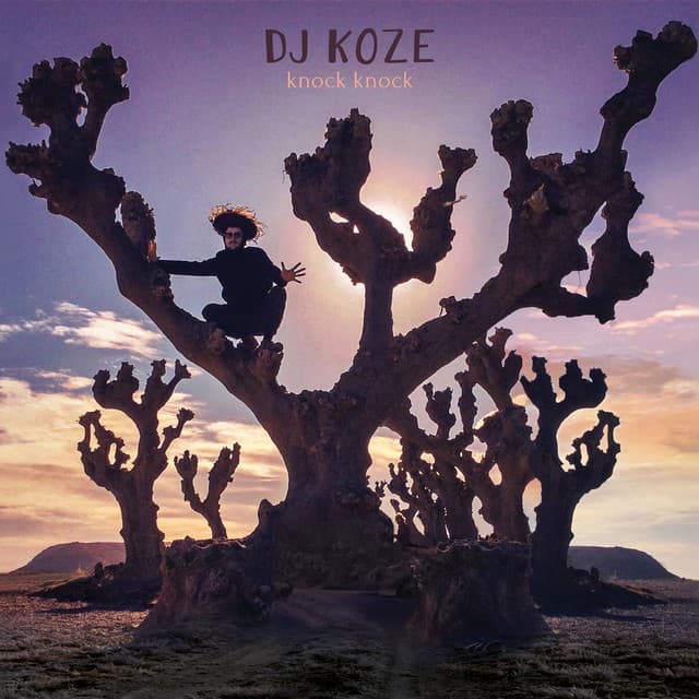 Release Cover DJ Koze - Knock Knock