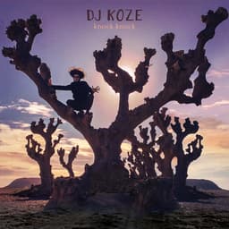 Release Cover DJ Koze - Knock Knock