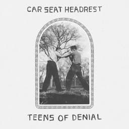 Release Cover Car Seat Headrest - Teens Of Denial