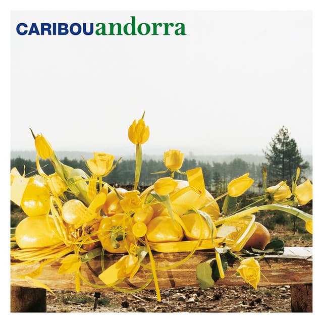 Release Cover Caribou - Andorra