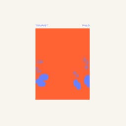 Release Cover Tourist - Wild
