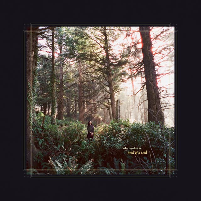 Release Cover Haley Heynderickx - Seed of a Seed