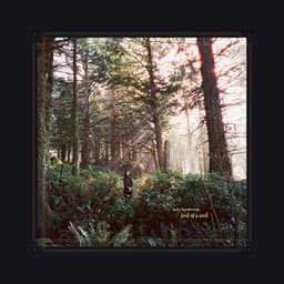 Release Cover Haley Heynderickx - Seed of a Seed