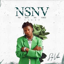 Release Cover Seyi Vibez - NSNV