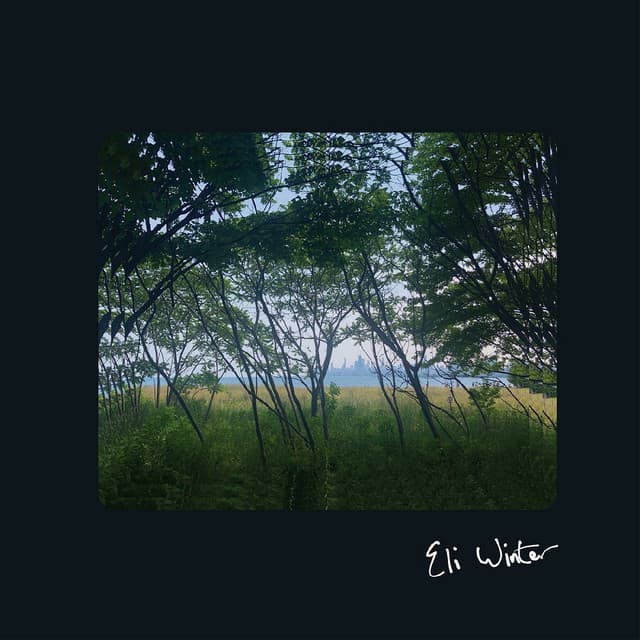 Release Cover Eli Winter - Eli Winter