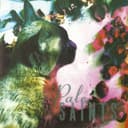 Cover of The Comforts of Madness by Pale Saints