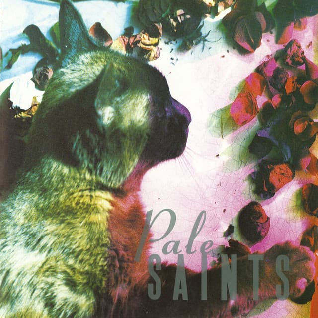 Release Cover Pale Saints - The Comforts of Madness