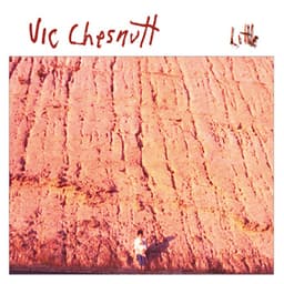 Release Cover Vic Chesnutt - Little