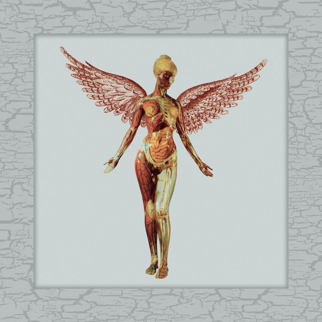 Release Cover Nirvana - In Utero (30th Anniversary Super Deluxe)