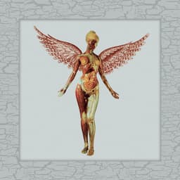 Release Cover Nirvana - In Utero (30th Anniversary Super Deluxe)