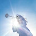 Cover of Getting Killed by Geese