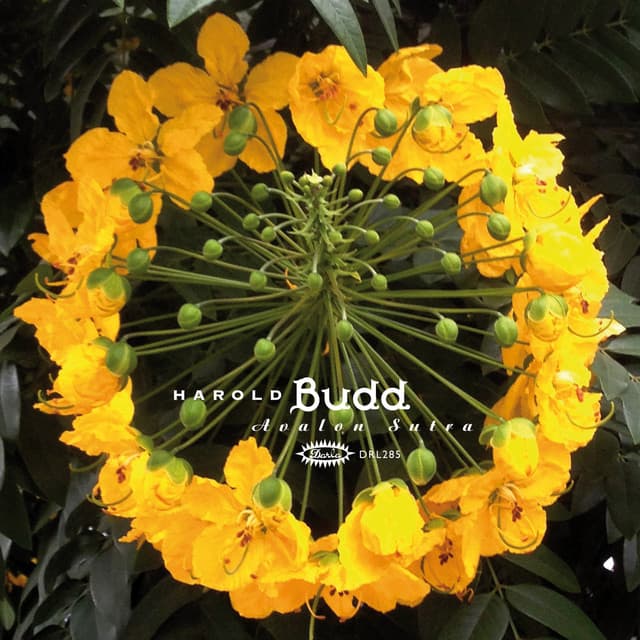 Release Cover Harold Budd - Avalon Sutra (2013 Remaster)