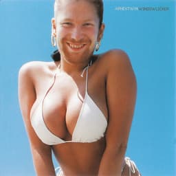 Release Cover Aphex Twin - Windowlicker