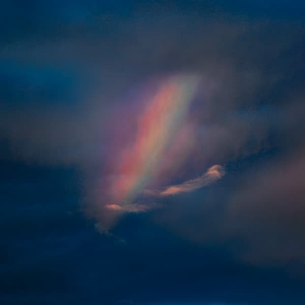 Release Cover Pool Kids - Pool Kids