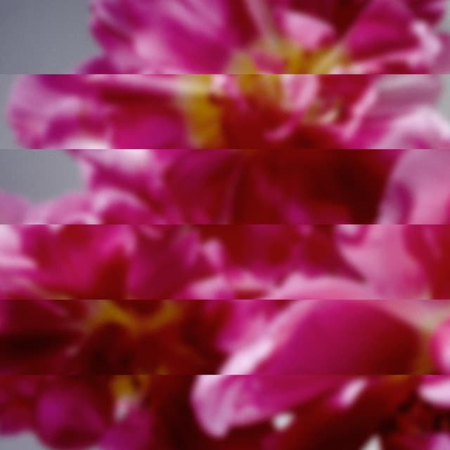 Release Cover Mondo Grosso - 何度でも新しく生まれる