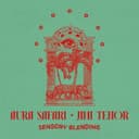 Cover of Sensory Blending by Aura Safari, Jimi Tenor