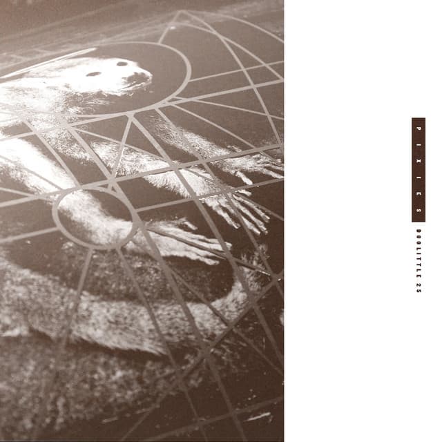 Release Cover Pixies - Doolittle 25: B-Sides, Peel Sessions And Demos