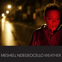 Release Cover Meshell Ndegeocello - Weather