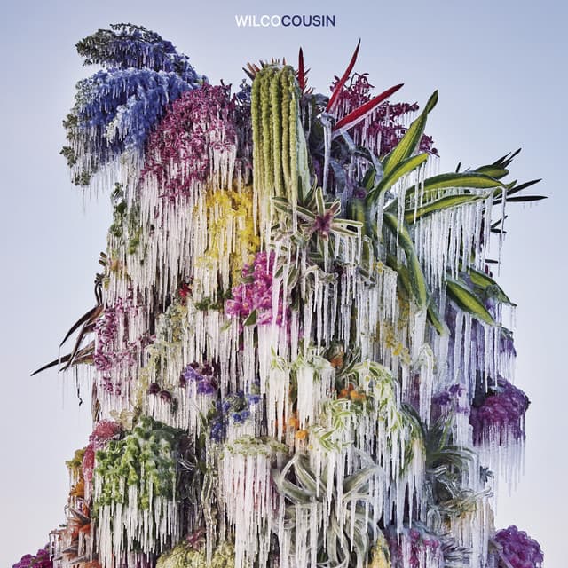 Release Cover Wilco - Cousin