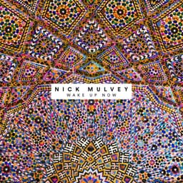 Release Cover Nick Mulvey - Wake Up Now